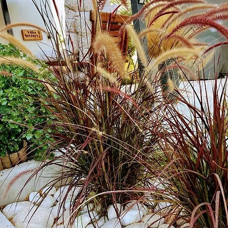 Secrecy リクスリオン